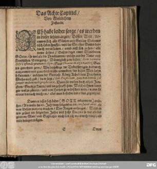 Das Achte Capittel/ Von Weltlichem Zustande.