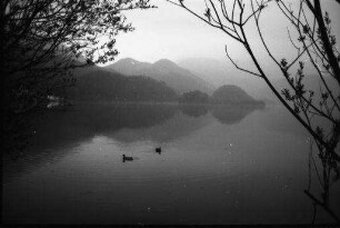 Kochel am See: Abendstimmung am Kochel See mit Herzogstand