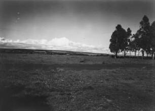 Savanne : Savanne in Kenia
