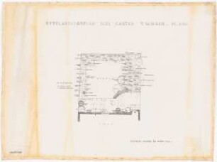 Garten Tschech: Pflanzplan 1:50