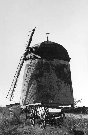Falkenhain-Meltewitz. Turmholländer