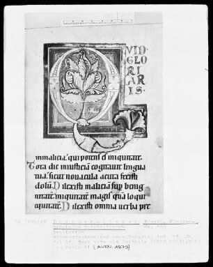 Hs.180 & Psalterium & fol 51