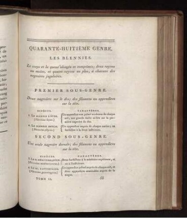 QUARANTE-HUITIÉME GENRE