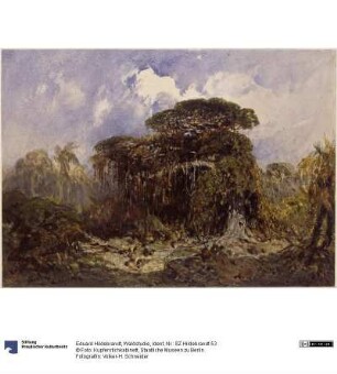 Waldstudie