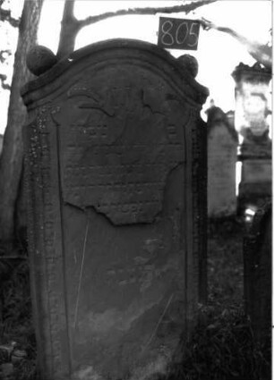 Grabstein 805 (Index: 100105070) Material: Sandstein Zustand: stark verwittert mit Textverlust Maße HxBxT: 178x88x17 cm Beschreibung: Stele, Konvexbogenabschluss mit Verdachung, auf den Einzügen Kugelaufsätze, darunter seitliche Einzüge, Schriftfeld seitlich durch Rahmen mit Blütenfries begrenzt, im Bogenfeld gekreuzte Akanthus(?)blätter Symbolik: Akanthusblätter, Blütenfries: Grabstein 805