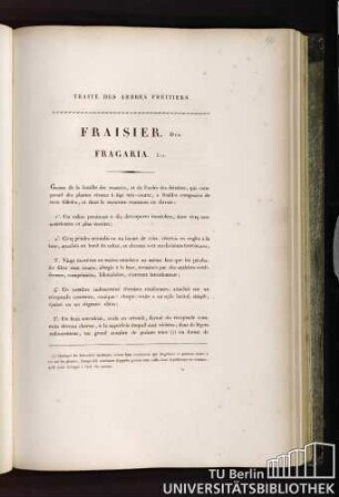 Fraisier. Duh. Fragarier. Lin.