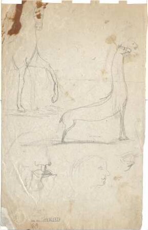 Gärtner, Friedrich von; Frühe Zeichnungen - Pferd u. Gesicht (Studien)