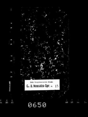 Gerichtshandelsbuch von Beiersdorf (bei Neusalza), Bd. 2