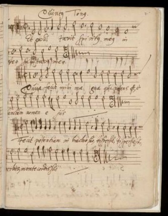 5. Magnificat Quintus Tonus