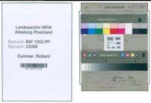 Entnazifizierung Richard Dummer , geb. 28.09.1897 (Rohrpruefer)