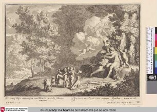 Venus met de schoone Adonis