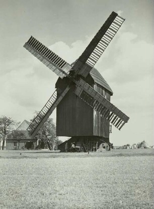 Falkenhain. Windmühle. Feldansicht