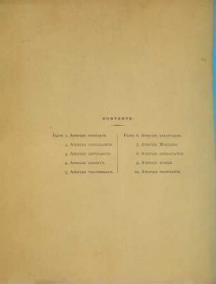 Iconography of Australian Salsolaceous plants, 1