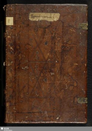 Speculum vitae humanae