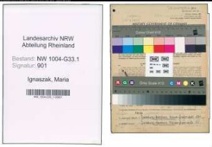 Entnazifizierung Maria Ignaszak , geb. 05.11.1909 (Techn.Lehrerin)