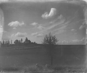 Panitzsch, Kirche : Panitzsch. Blick über Getreidefeld zu Kirche