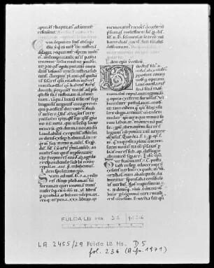 Bernardus Papiensis und andere — Initiale D, Folio 236 recto