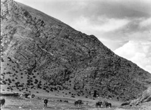 Anden Faltung : Blick auf Bergformationen im Valle de Purmamarca