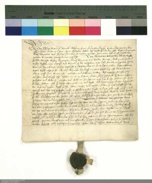 Revers Philipps Graf von Rieneck bezüglich der Belehnung mit dem Dorf Wolfsmünster durch Philipp [Schenck zu Schweinsberg], Abt von Fulda
