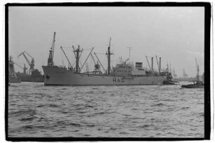 Steinweg ex Ellen Hugo Stinnes ex Pacific (1914), HMG, Hamburg