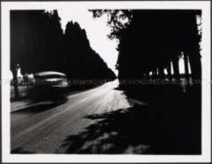 Allee mit vorbei fahrendem Auto (Altersgruppe 18-21)