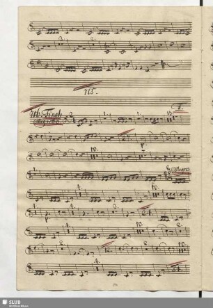 716. Finale: Osservate un pocolino / Naumann, J.G.