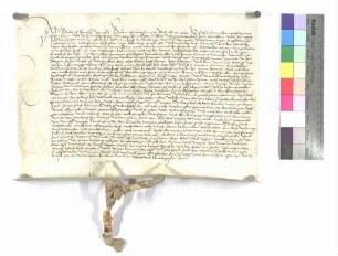 Verzicht Baltas Stüblers auf seinen Lehenhof zu Wiblingen gegen das Kloster Wiblingen