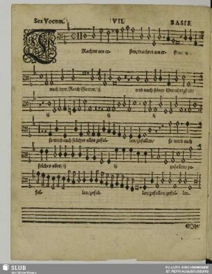 VII. Trachtet am ersten