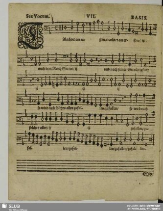 VII. Trachtet am ersten