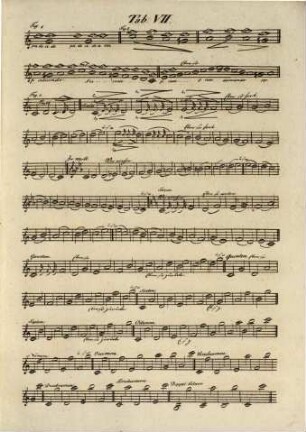 Systematischer Unterricht zum Erlernen und Behandeln der Singkunst überhaupt, sowie des Gesanges in öffentlichen Schulen und der vorzüglichsten Orchester-Instrumente : nebst einer Anleitung zum Studium der Harmonielehre und zur Direktion eines Orchesters und Singchores, 1,[2]. Tabellen
