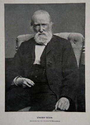Bildnis von Theodor Storm (1817-1888)