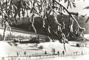 Rehefeld (Altenberg-Rehefeld-Zaunhaus). Ehem. Jagdschloß und Tal der Wilden Weißeritz