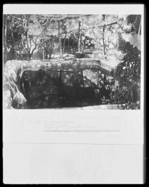 Parklandschaft