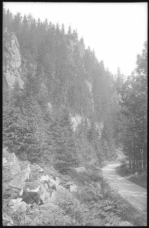 Schwarzwassertal. Katzenstein