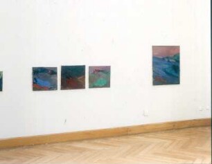 Thar & Polenztal & Rügen & Hochlandmoor : Pisch, Ulrike: Thar, Polenztal, Rügen, Hochlandmoor. 2004. Dresden: Hochschule für Bildende Künste Dresden, Ausstellung Diplom 2004 vom 17.7.-29.8.2004. Raumaufnahme