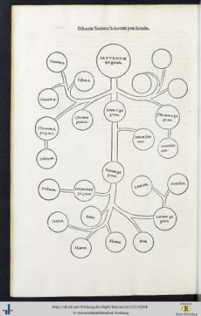 Saturnum, qui genuit ... (Genealogische Tafel).