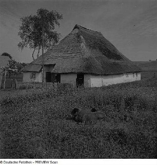 Groß Zicker. Pfarrwitwenhaus, Eingangsseite (nach 1700, Umbau 19. Jh.)