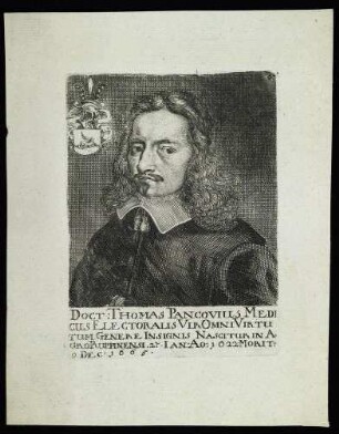 Panckow, Thomas