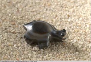 Kleine Schildkröte