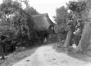 mit Reet gedeckter Hof an einer Straße mit Kopfweiden