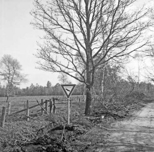 Nienwohlder Moor: Naturschutzgebiet: vorn Weg ins Moor: rechts Baum: links Holzzaun: davor Hinweisschild: im Hintergrund Moorwiesen und Sträucher