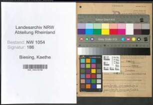 Entnazifizierung Kaethe Biesing , geb. 14.05.1907 ()