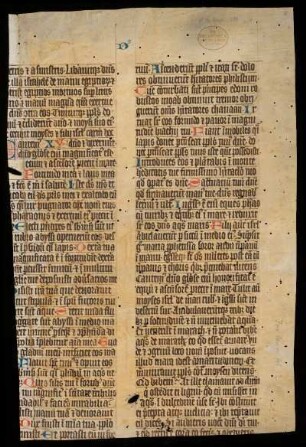 Liber Exodi (Fragment)
