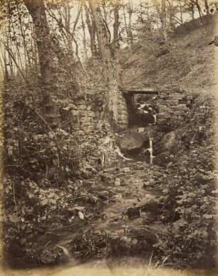 Mittelgrundstudie: Waldinneres: Brückchen mit kleinem Wasserfall