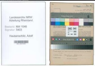 Entnazifizierung Adolf Haubenschild , geb. 16.09.1902 (Kaufmaennischer Angestellter)