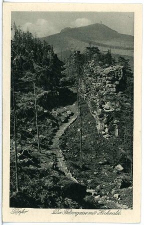 Oybin. Töpfer, Die Felsengasse mit Hochwald