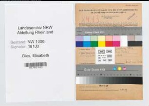 Entnazifizierung Elisabeth Gies, geb. 18.05.1906 (Praktikantin)