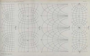Tafel VII.