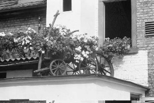 Blumenschmuckwettbewerb 1973
