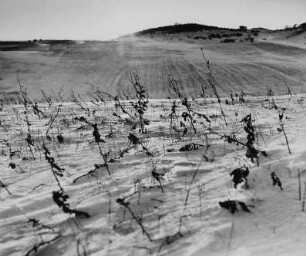 Landschaft